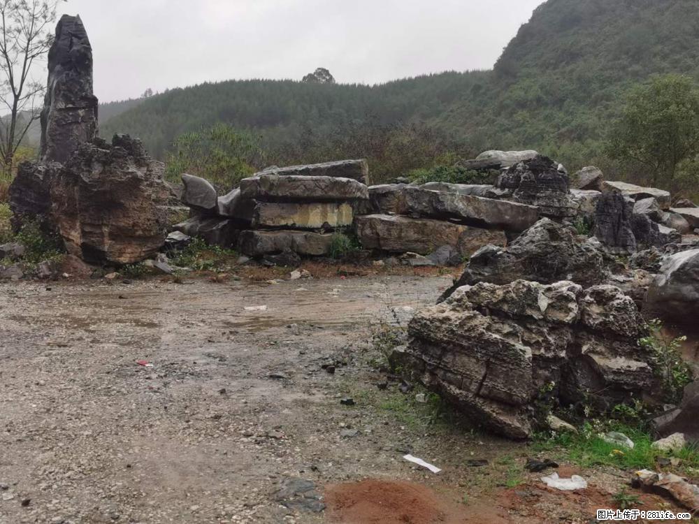 风景石、假山石大量有货，有需要的欢迎联系 - 新手上路 - 珠海生活社区 - 珠海28生活网 zh.28life.net