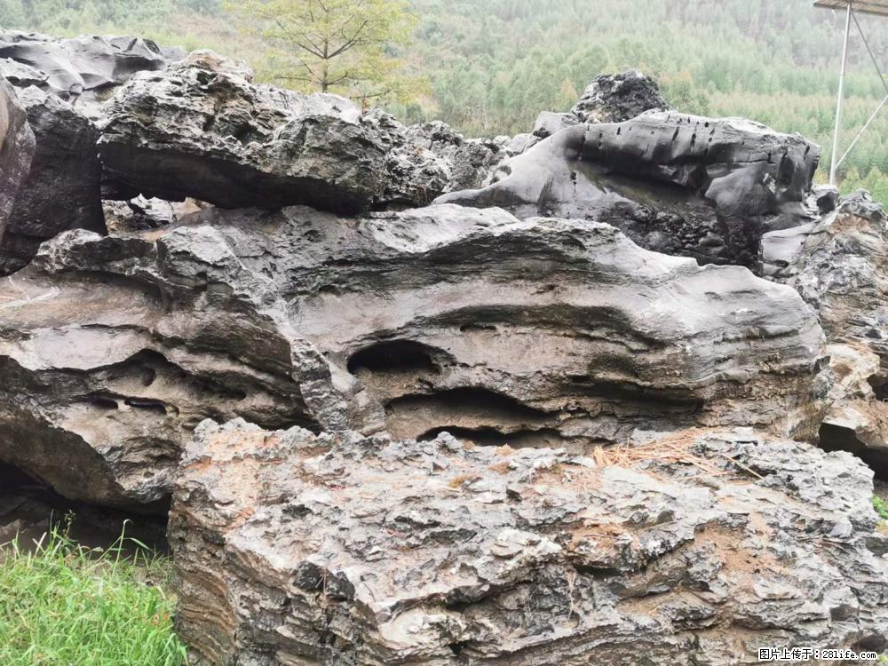 风景石、假山石大量有货，有需要的欢迎联系 - 新手上路 - 珠海生活社区 - 珠海28生活网 zh.28life.net