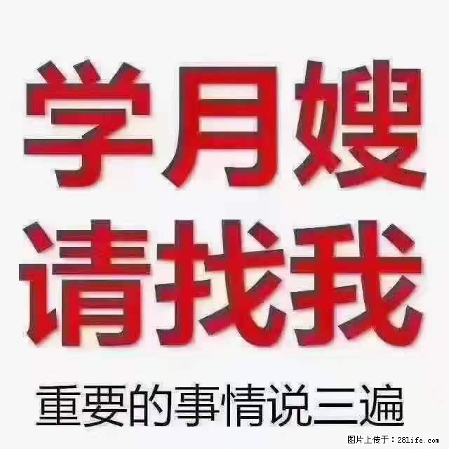 为什么要学习月嫂，育婴师？ - 新手上路 - 珠海生活社区 - 珠海28生活网 zh.28life.net