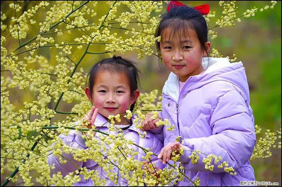 【春天，广西桂林灌阳县向您发出邀请！】米珠山前有片山苍子花在飘香 - 游山玩水 - 珠海生活社区 - 珠海28生活网 zh.28life.net