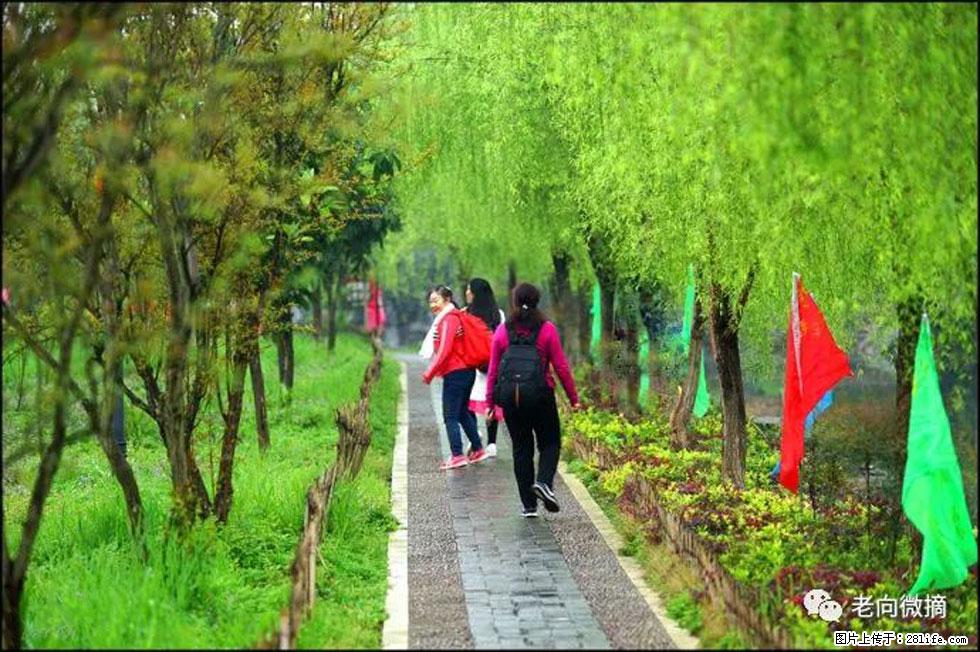 【春天，广西桂林灌阳县向您发出邀请！】江口老街又逢春 - 游山玩水 - 珠海生活社区 - 珠海28生活网 zh.28life.net