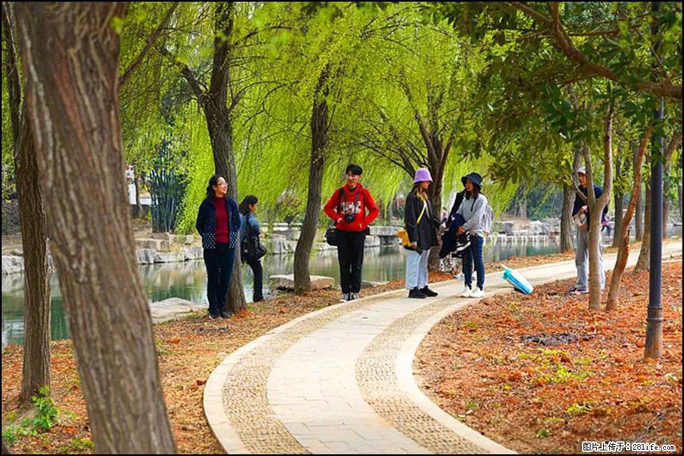 【春天，广西桂林灌阳县向您发出邀请！】江口老街又逢春 - 游山玩水 - 珠海生活社区 - 珠海28生活网 zh.28life.net