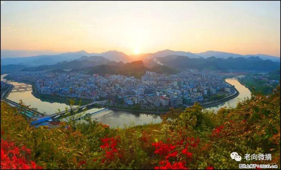 【春天，广西桂林灌阳县向您发出邀请！】登麒麟山，相约映山红 - 游山玩水 - 珠海生活社区 - 珠海28生活网 zh.28life.net