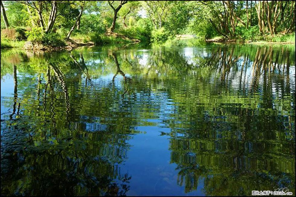 【春天，广西桂林灌阳县向您发出邀请！】熊家寨湿地公园 - 游山玩水 - 珠海生活社区 - 珠海28生活网 zh.28life.net
