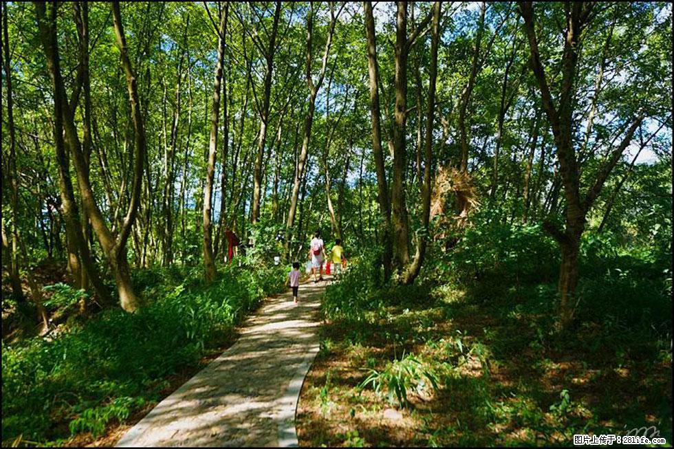 【春天，广西桂林灌阳县向您发出邀请！】熊家寨湿地公园 - 游山玩水 - 珠海生活社区 - 珠海28生活网 zh.28life.net