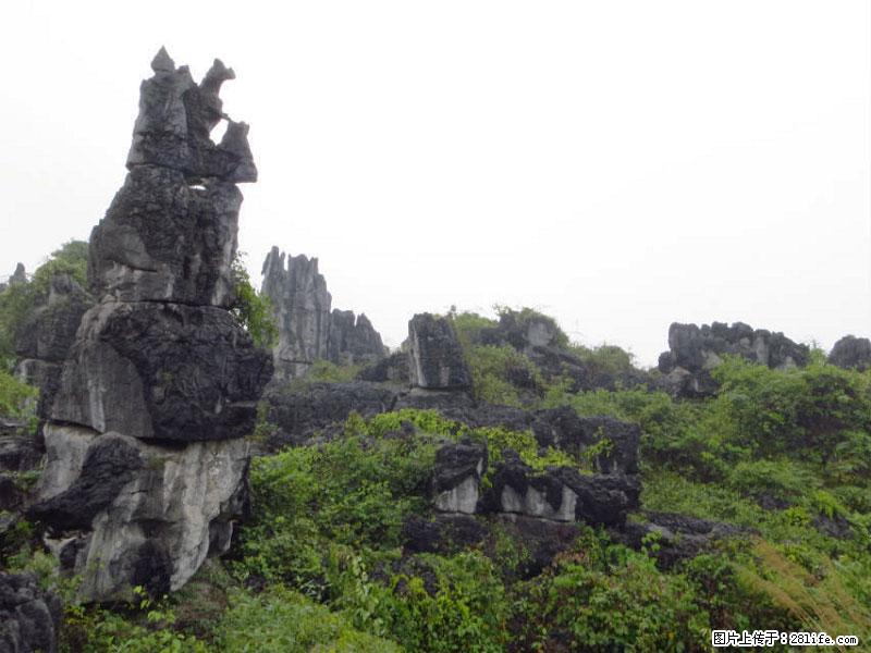 桂林旅游名城景点：灌阳文市石林 - 游山玩水 - 珠海生活社区 - 珠海28生活网 zh.28life.net
