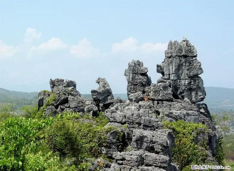 桂林旅游名城景点：灌阳文市石林 - 游山玩水 - 珠海生活社区 - 珠海28生活网 zh.28life.net