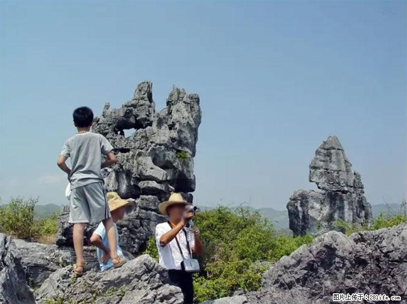 桂林旅游名城景点：灌阳文市石林 - 游山玩水 - 珠海生活社区 - 珠海28生活网 zh.28life.net