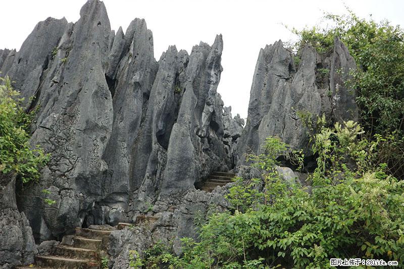 桂林旅游名城景点：灌阳文市石林 - 游山玩水 - 珠海生活社区 - 珠海28生活网 zh.28life.net