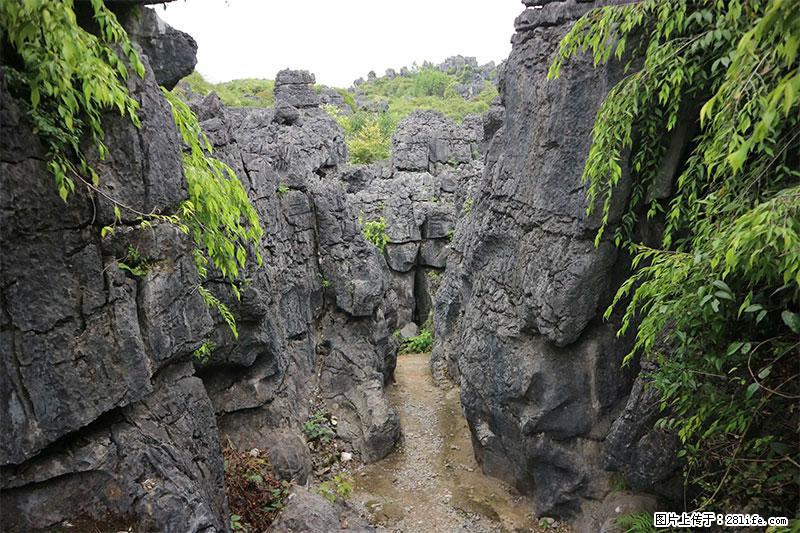 桂林旅游名城景点：灌阳文市石林 - 游山玩水 - 珠海生活社区 - 珠海28生活网 zh.28life.net