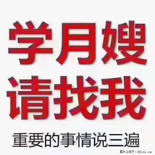 为什么要学习月嫂，育婴师？ - 珠海28生活网 zh.28life.net