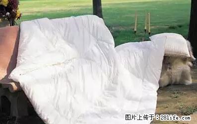 被子有异味？只要这样做，比晒太阳还强100倍！ - 家居生活 - 珠海生活社区 - 珠海28生活网 zh.28life.net