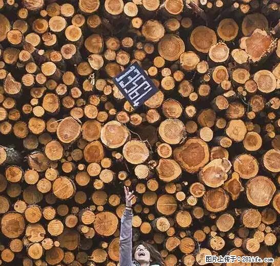 辞掉工作周游世界？现在他们在洗厕所…… - 游山玩水 - 珠海生活社区 - 珠海28生活网 zh.28life.net