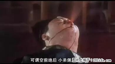 笑癫了！一女的怀孕三年未生，他终于忍不住了... - 娱乐八卦 - 珠海生活社区 - 珠海28生活网 zh.28life.net