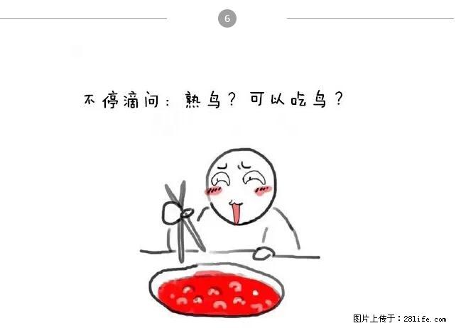千万不要和这9种哈卵一起吃火锅！ - 美食天地 - 珠海生活社区 - 珠海28生活网 zh.28life.net