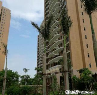 横琴口岸旺地 华融琴海湾138平米精装大三房 南北通透采光好 - 珠海28生活网 zh.28life.net