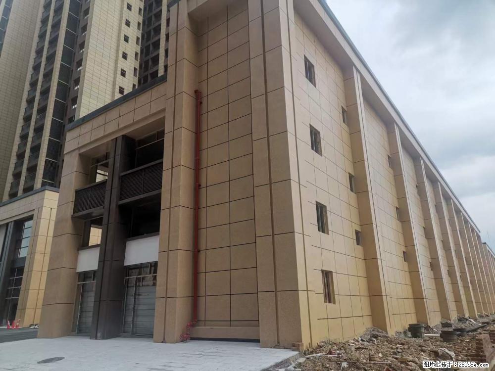 【广西三象建筑安装工程有限公司】外墙涂料工程 - 新手上路 - 珠海生活社区 - 珠海28生活网 zh.28life.net