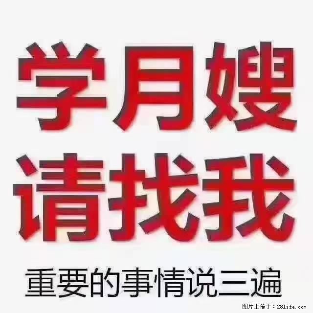 【招聘】月嫂，上海徐汇区 - 职场交流 - 珠海生活社区 - 珠海28生活网 zh.28life.net