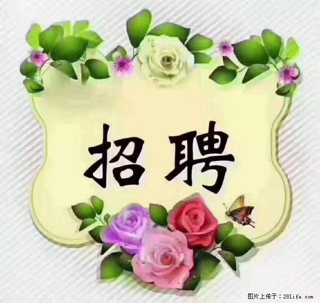 【招聘】住家育儿嫂，上户日期：4月4日，工作地址：上海 黄浦区 - 职场交流 - 珠海生活社区 - 珠海28生活网 zh.28life.net