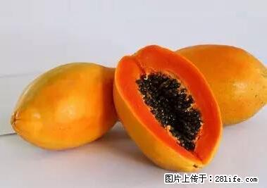 晕车、脚气、牙齿变黄、皮肤粗糙？学会这些三分钟搞定！ - 珠海生活资讯 - 珠海28生活网 zh.28life.net