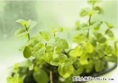晕车、脚气、牙齿变黄、皮肤粗糙？学会这些三分钟搞定！ - 珠海生活资讯 - 珠海28生活网 zh.28life.net