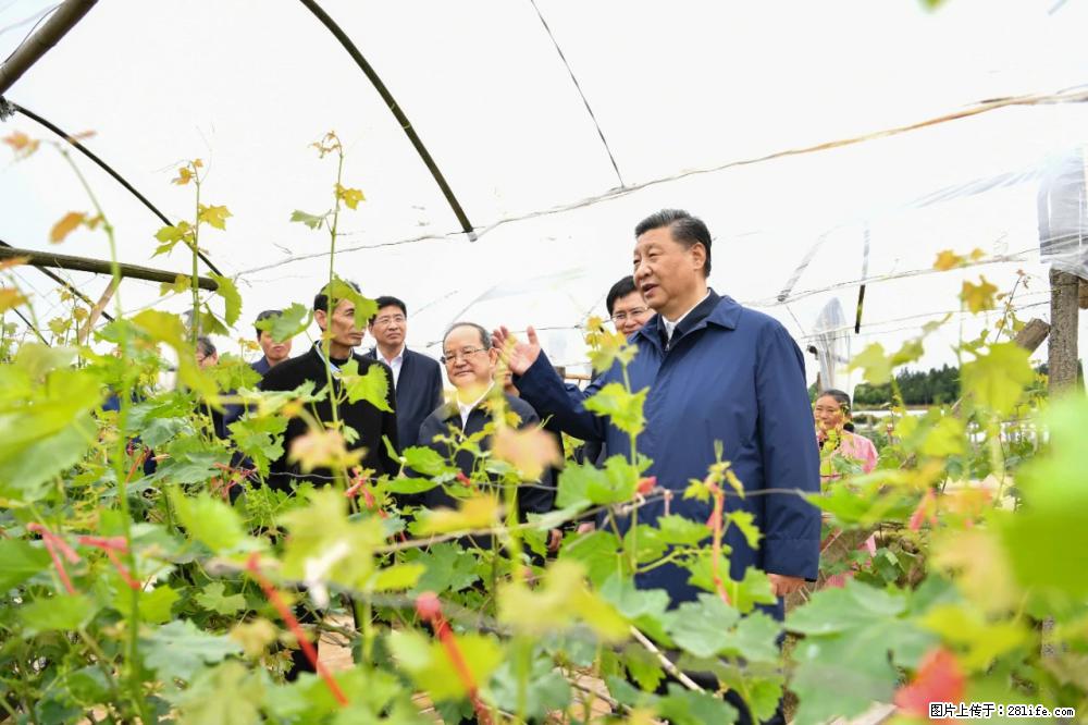 习近平赴广西考察调研 - 珠海生活资讯 - 珠海28生活网 zh.28life.net
