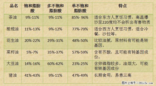 揭秘茶油的5大核心营养成分！被称为人体健康的“守护盾”！ - 珠海生活资讯 - 珠海28生活网 zh.28life.net