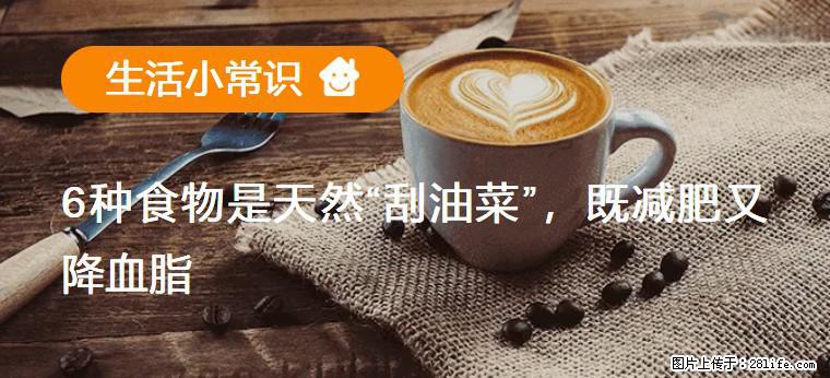 【生活小常识】6种食物是天然“刮油菜”，既减肥又降血脂 - 珠海生活资讯 - 珠海28生活网 zh.28life.net