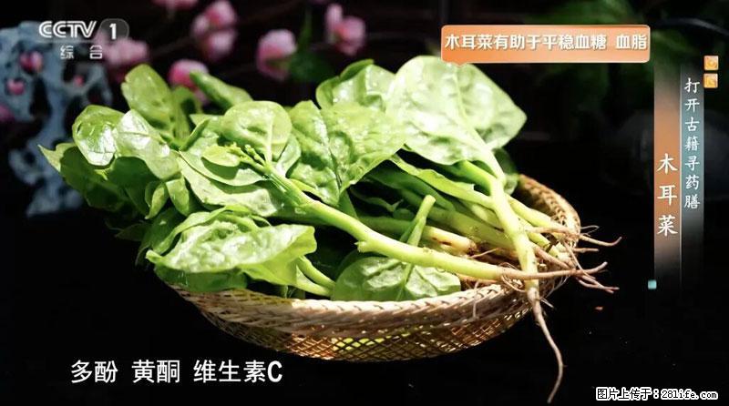 比牛奶补钙还厉害！凉血解毒、稳血糖...这菜冬天必吃，很多人却当草 - 珠海生活资讯 - 珠海28生活网 zh.28life.net