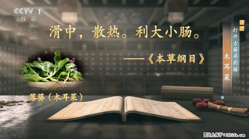 比牛奶补钙还厉害！凉血解毒、稳血糖...这菜冬天必吃，很多人却当草 - 珠海生活资讯 - 珠海28生活网 zh.28life.net