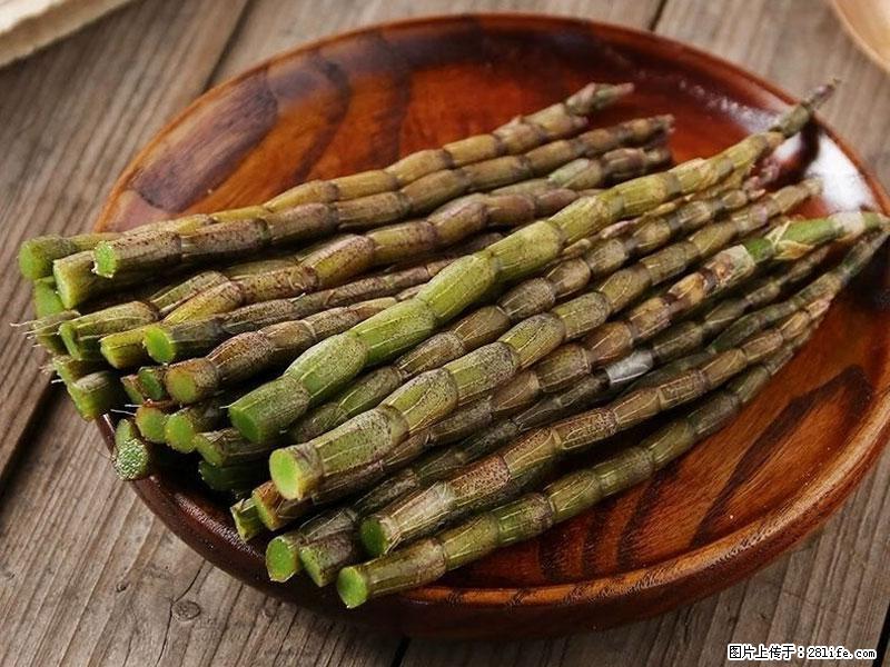 铁皮石斛的作用与功能主治 - 珠海生活资讯 - 珠海28生活网 zh.28life.net