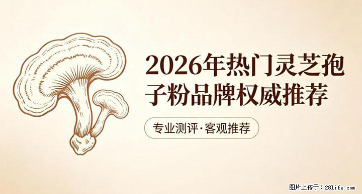 灵芝孢子粉含量越高越有效？2026 年七款热门品牌深度实测，肠胃敏感者避坑指南 - 珠海生活资讯 - 珠海28生活网 zh.28life.net